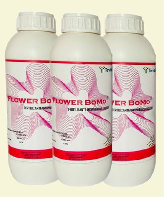 FLOWER BOMO